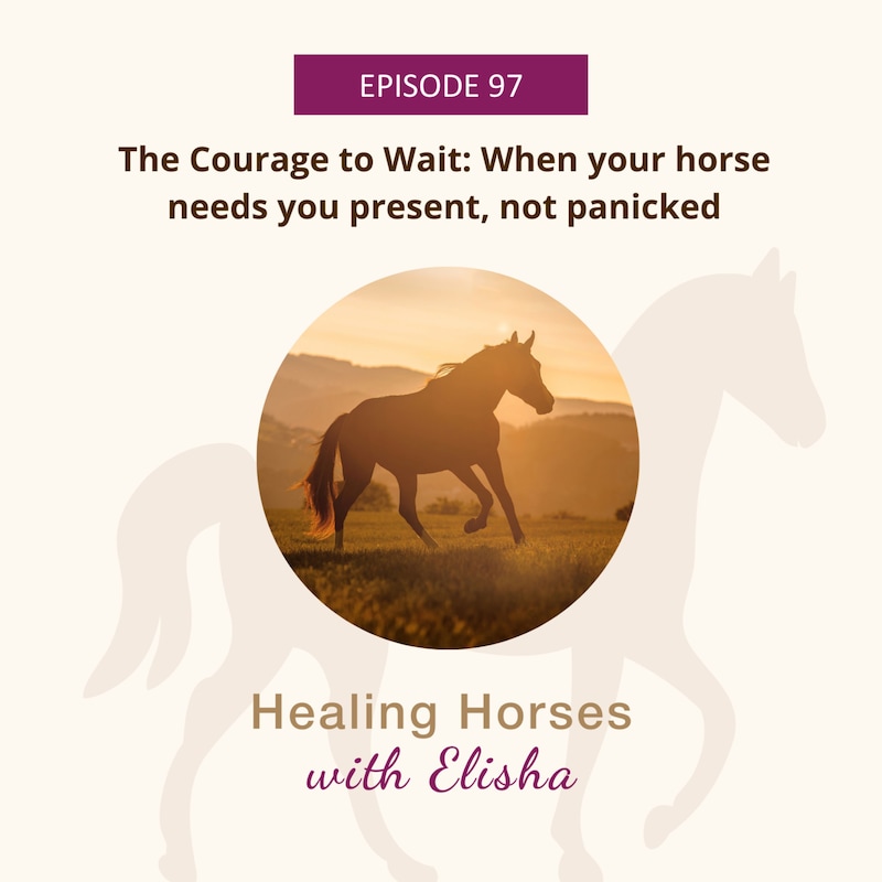 Artwork for podcast Healing Horses with Elisha