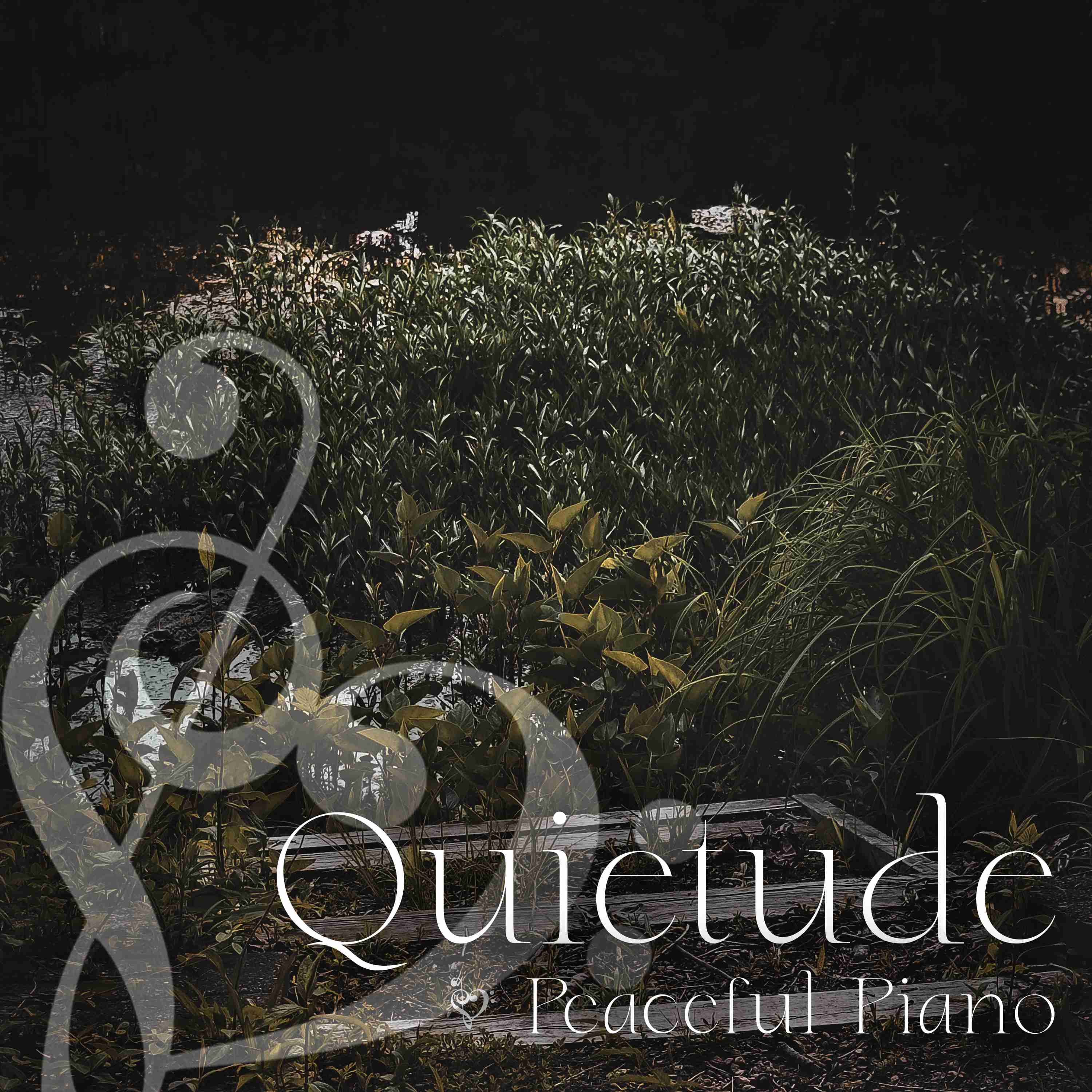 Peaceful Piano for a Calm Mind with Summer Crickets - 4 Hours - "For Nights on End" episode artwork