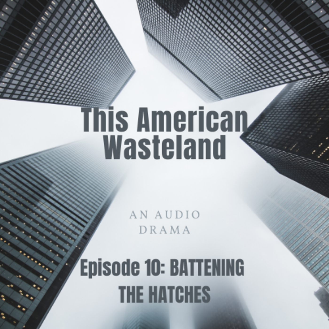 Artwork for podcast This American Wasteland