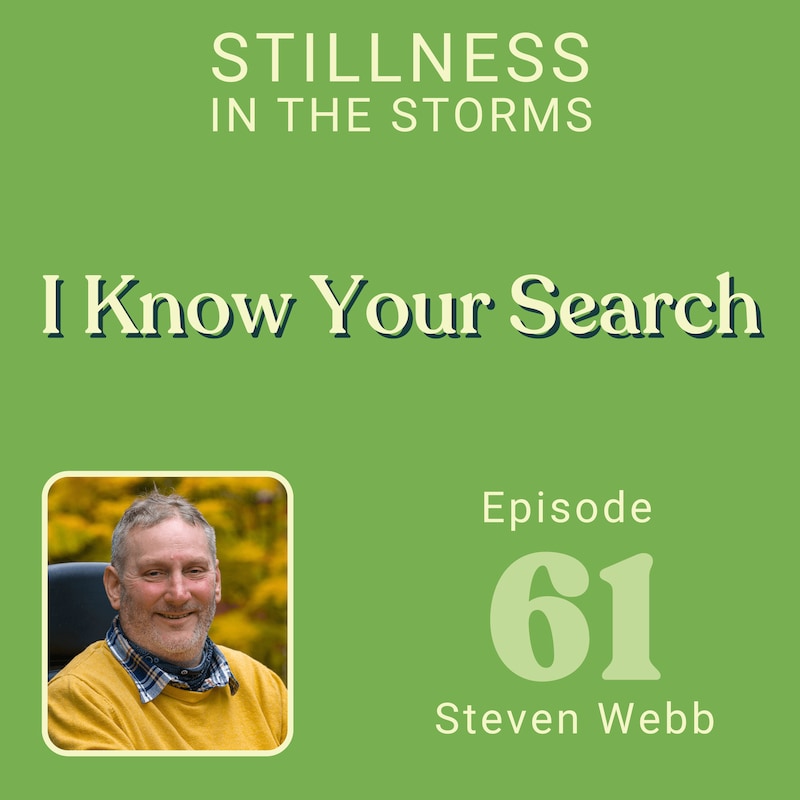 Artwork for podcast Stillness in the Storms