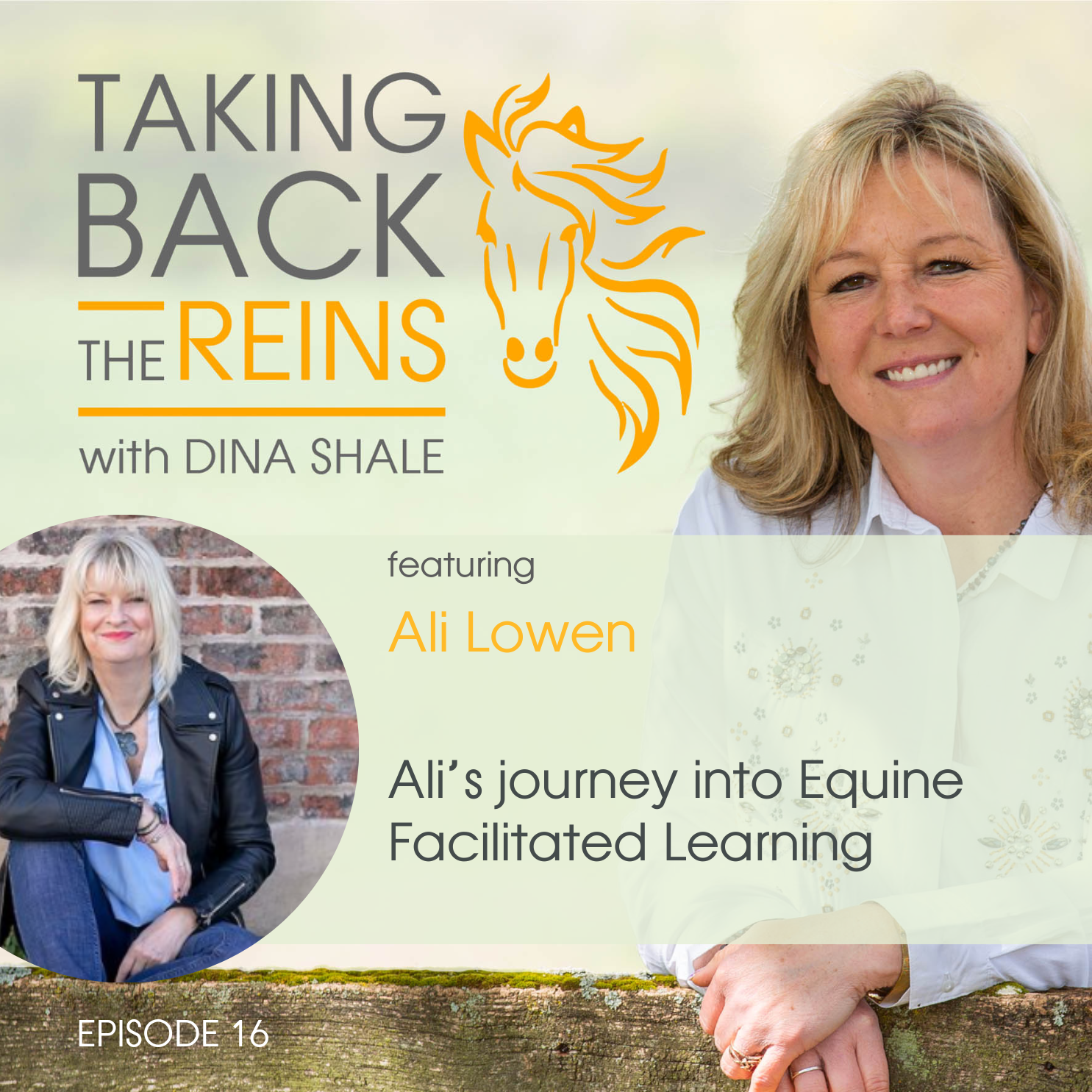 016 - Ali’s journey into Equine Facilitated Learning episode artwork