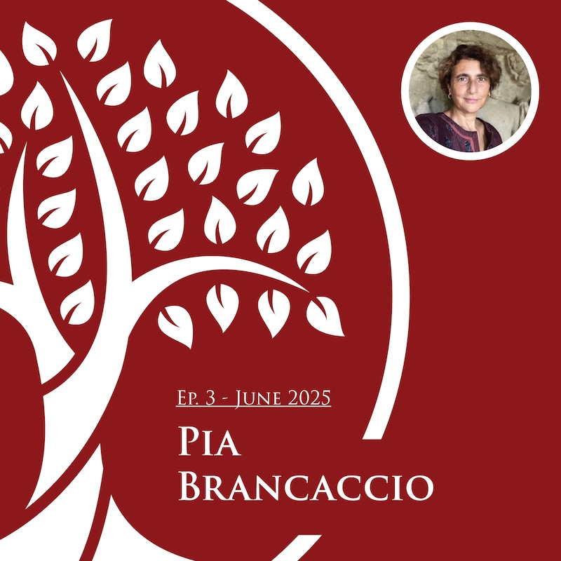 Artwork for podcast The Ho Center for Buddhist Studies at Stanford