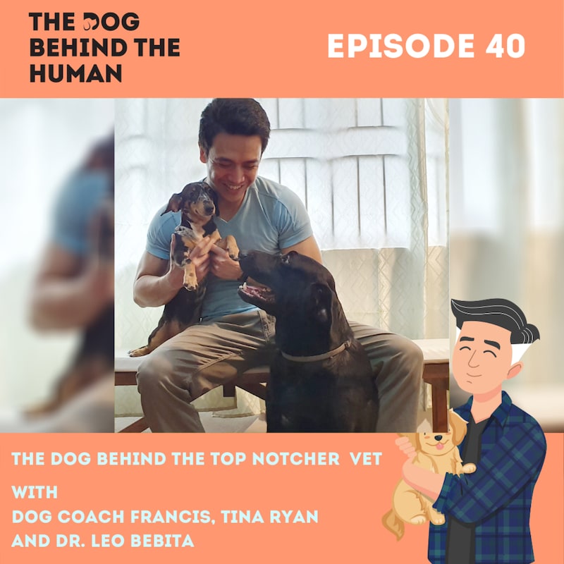 Artwork for podcast The Dog Behind The Human