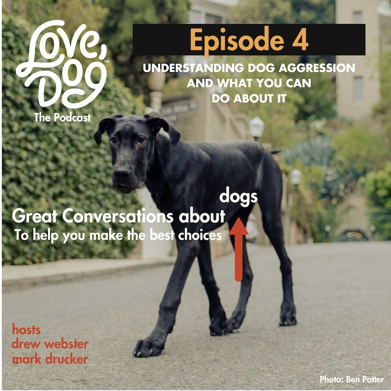 Artwork for podcast Love, Dog: The Podcast