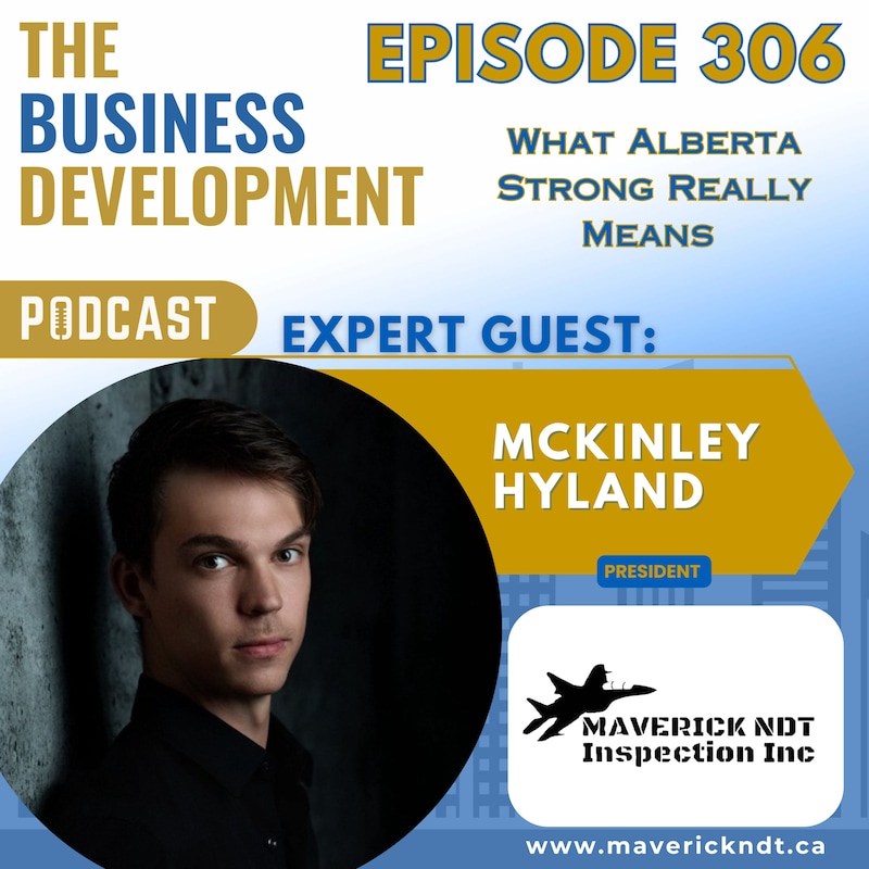 Artwork for podcast The Business Development Podcast