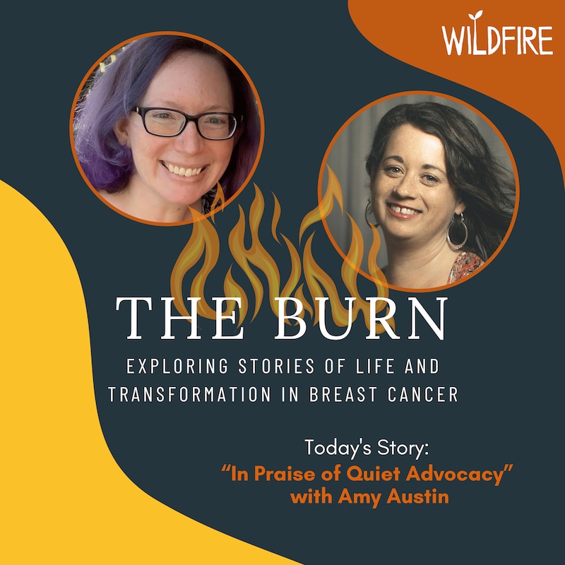 Artwork for podcast The Burn