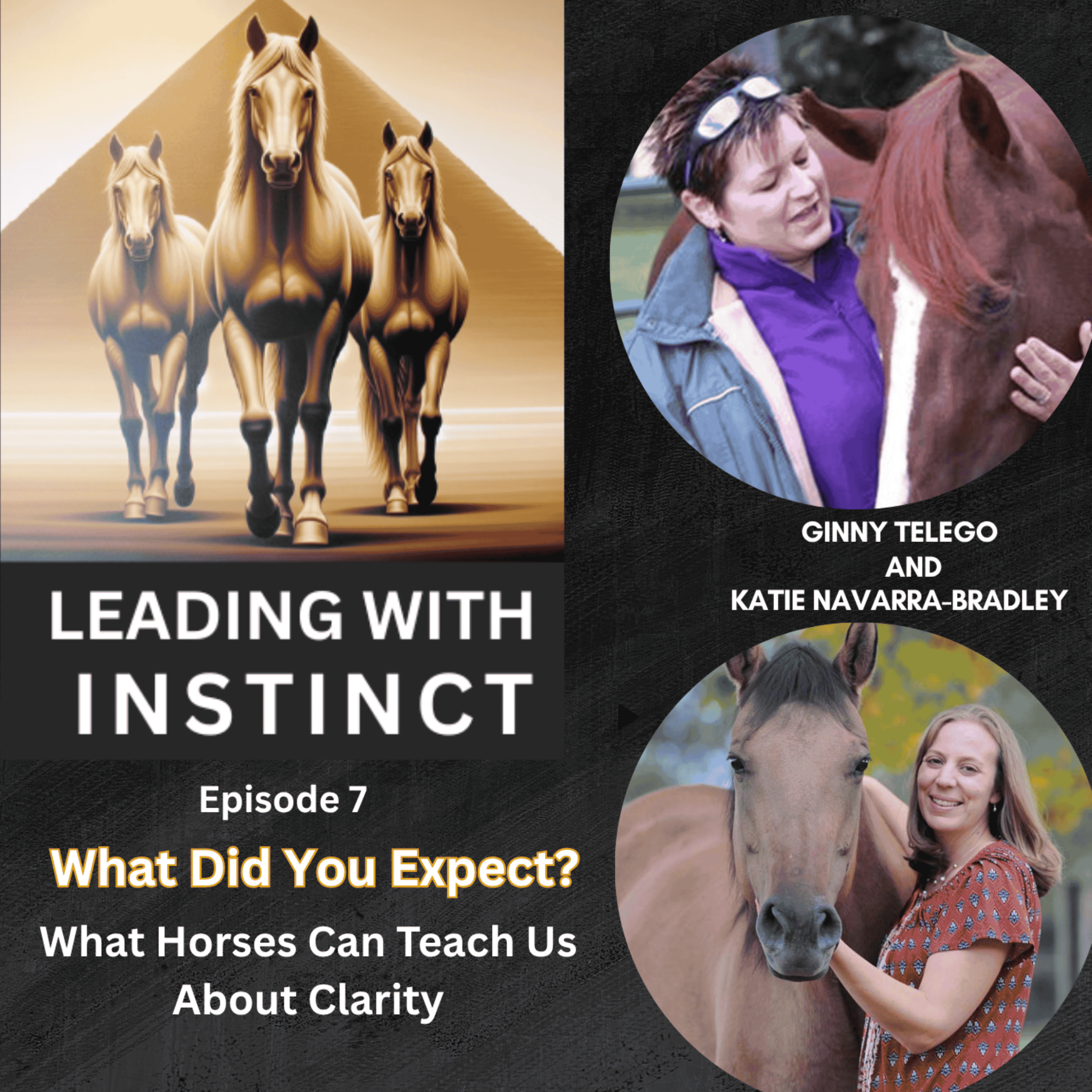 What Did You Expect? What Horses Can Teach Us About Clarity episode artwork