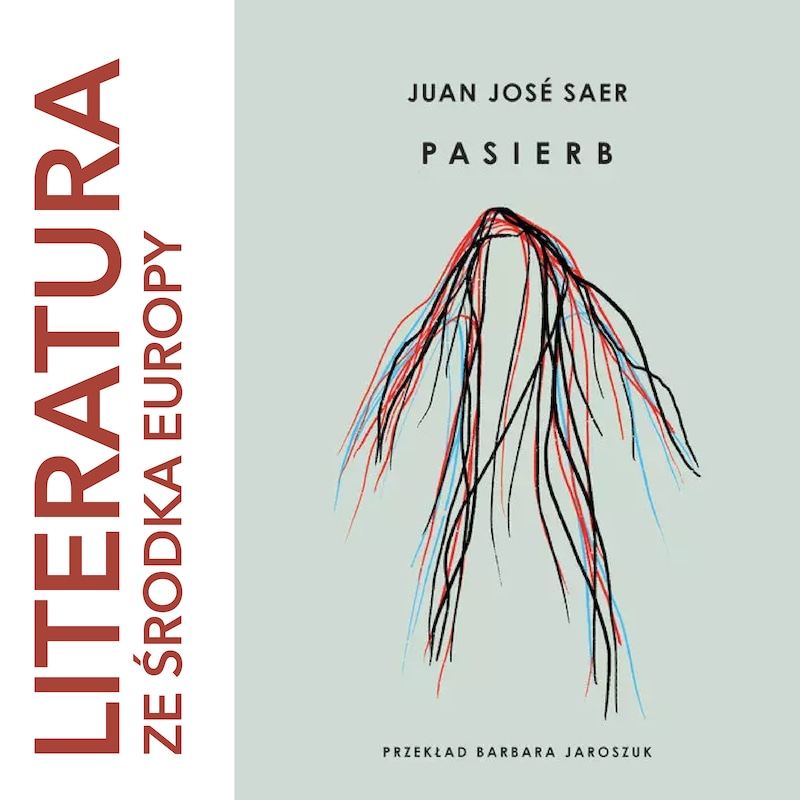 Artwork for podcast literatura ze środka Europy