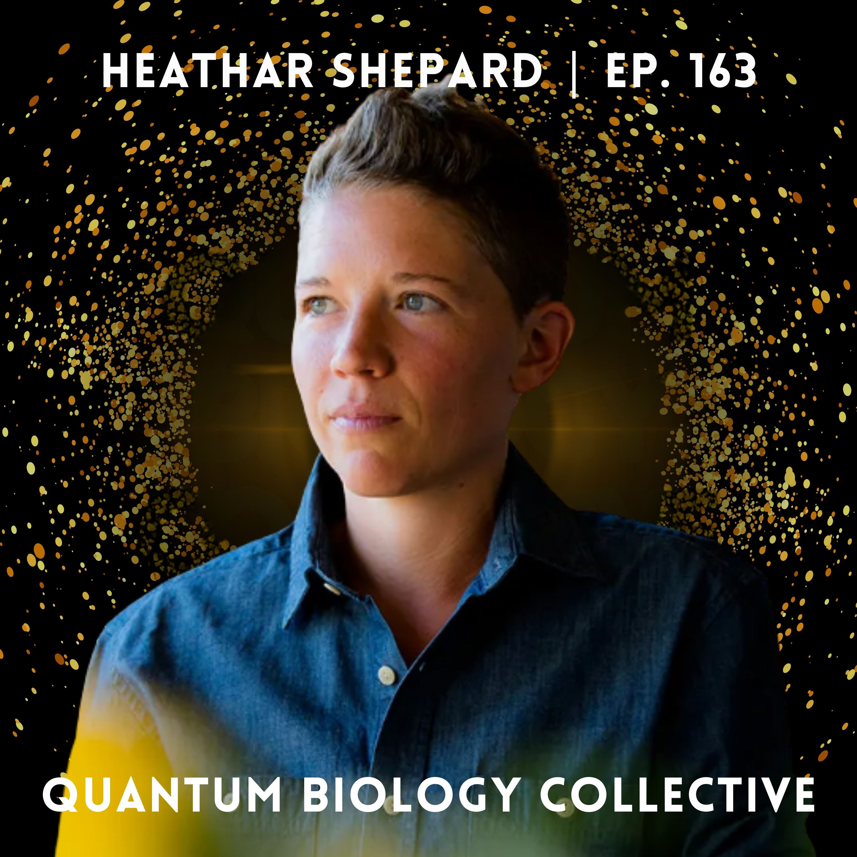 163: Sunlight, Homeopathy, and Regenerative Farming: A Systems Approach to Healing with Heathar Shepard