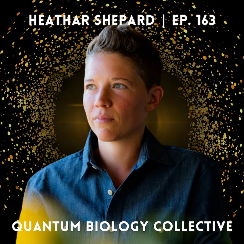 Artwork for podcast The Quantum Biology Collective Podcast