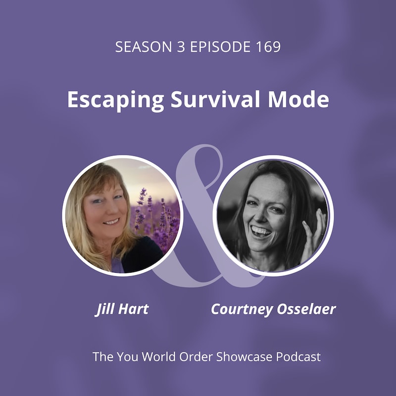Artwork for podcast The You World Order Showcase Podcast