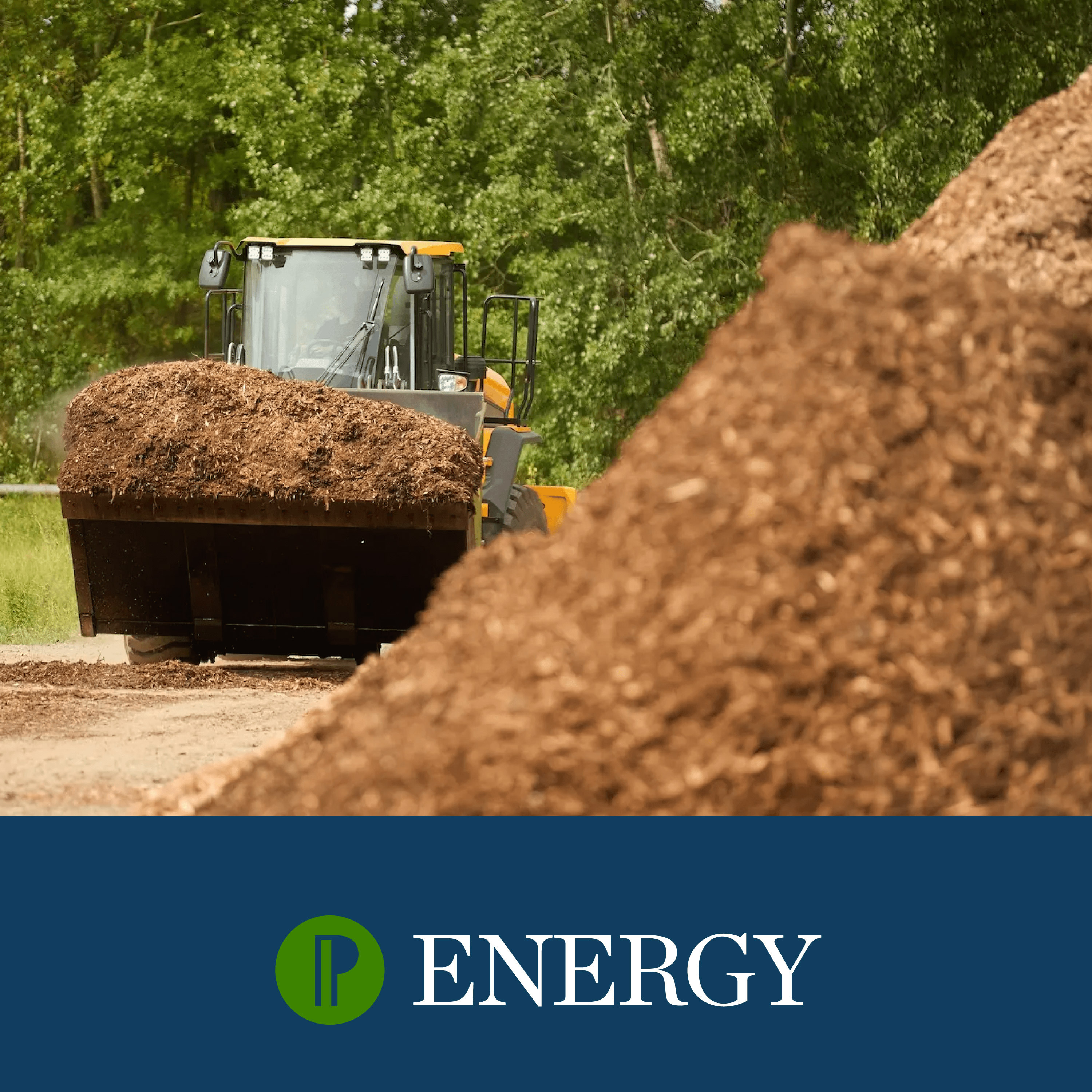Biomasa bez tajemnic | Energia do zmiany