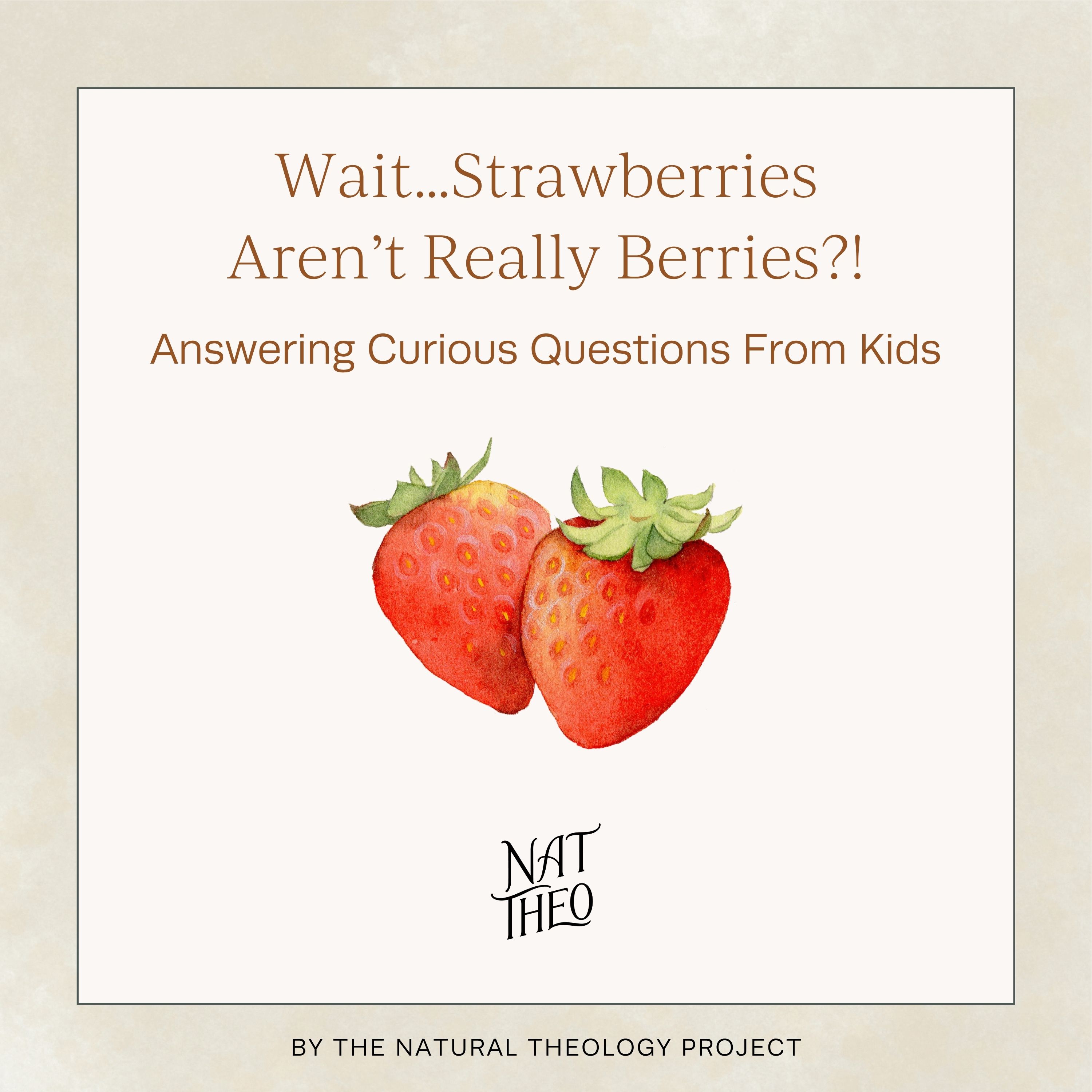 Wait…Strawberries Aren’t Really Berries?! Answering Nature Questions From Kids