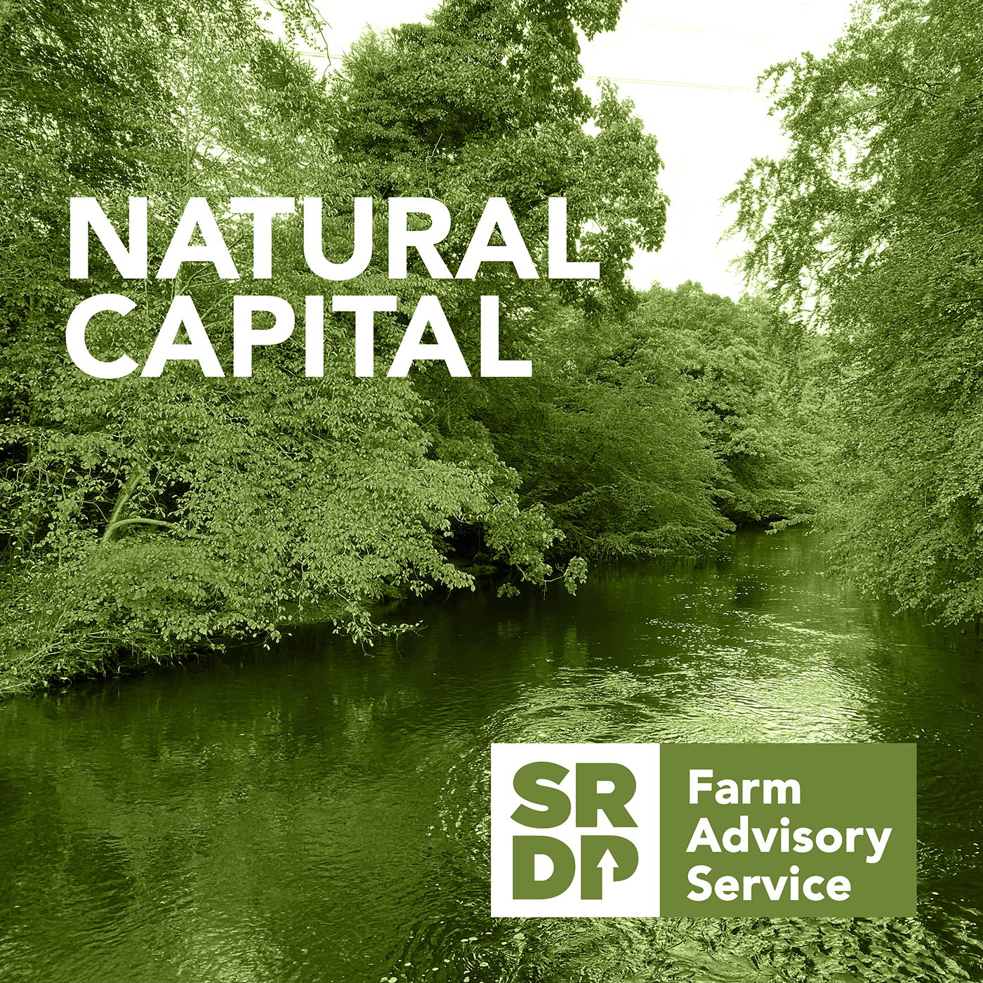 Scotland\'s Farm Advisory Service Podcast