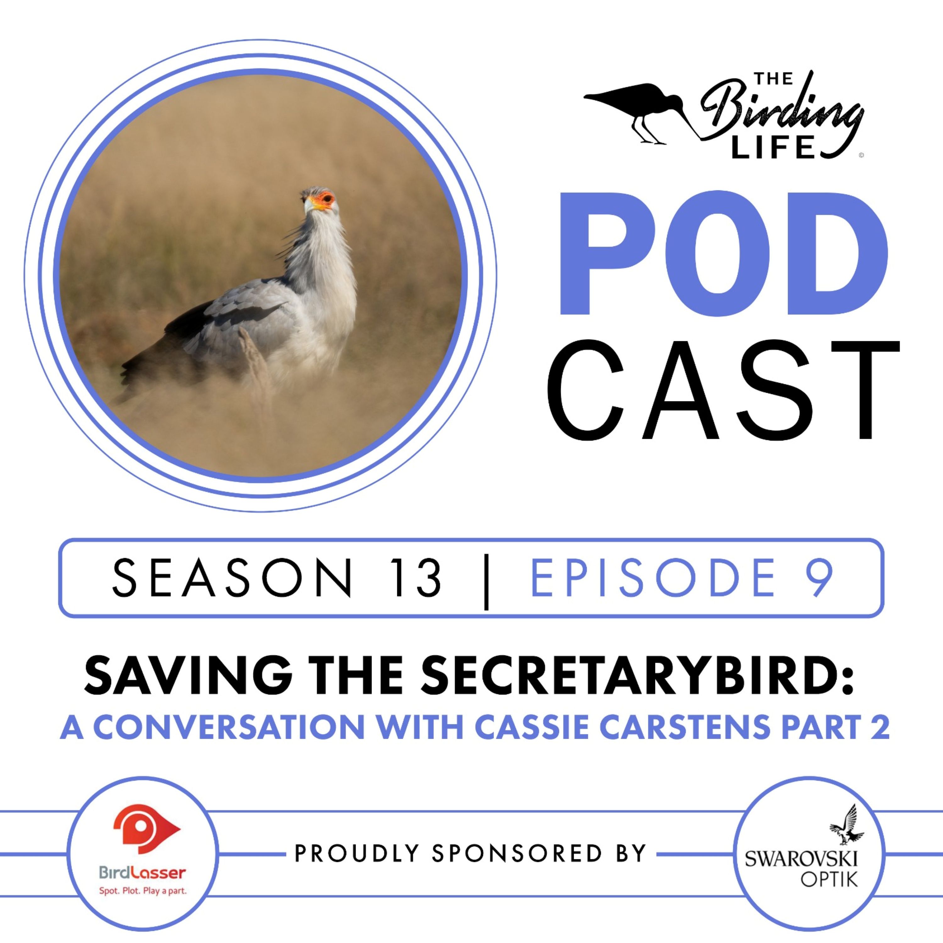 TBL Podcast - Season 13 Episode 9 - Saving the Secretarybird: A Conversation with Cassie Carstens Pt 2