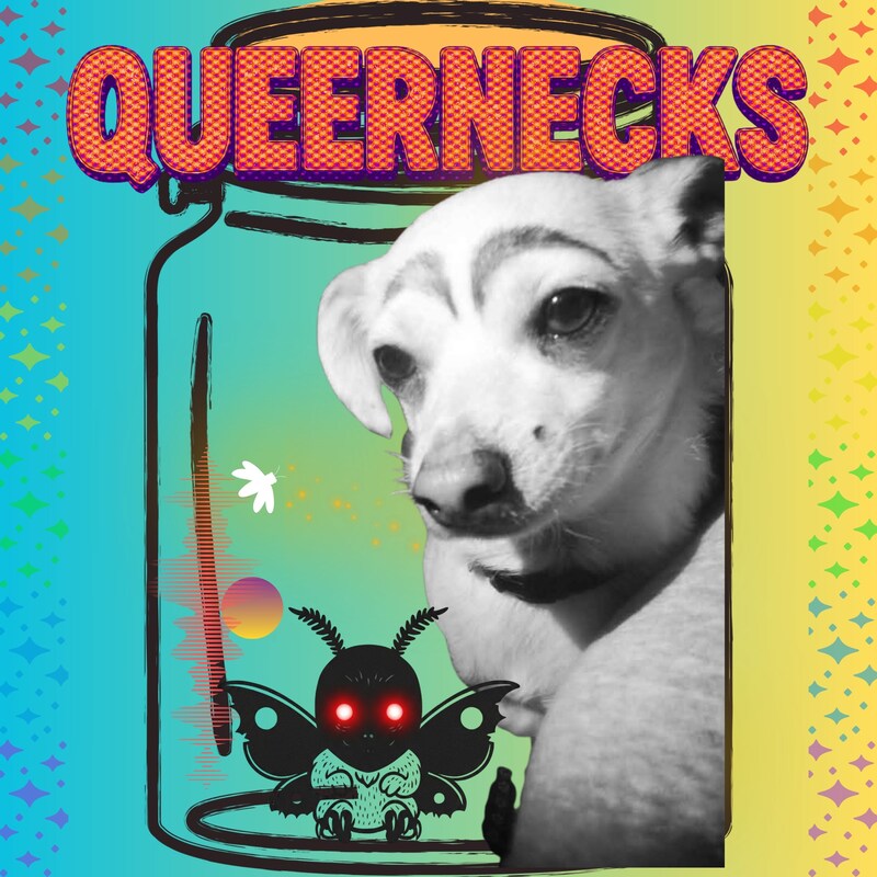 Artwork for podcast QUEERNECKS