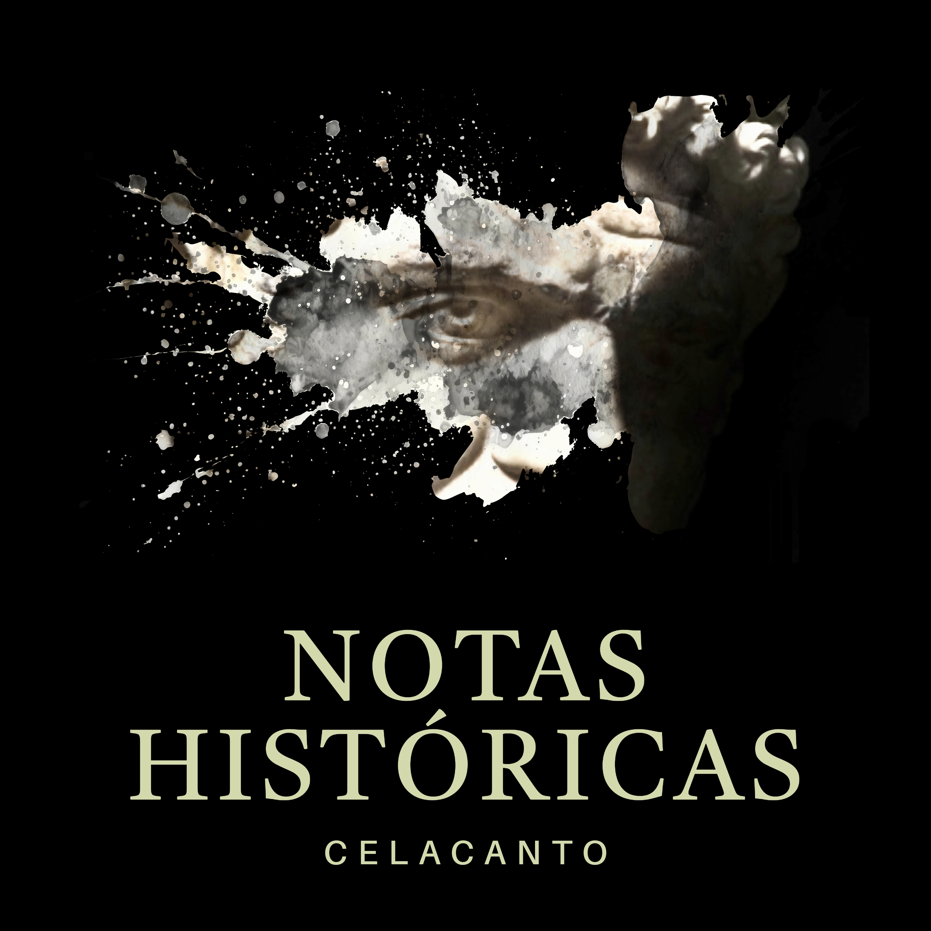 Show artwork for Notas Históricas