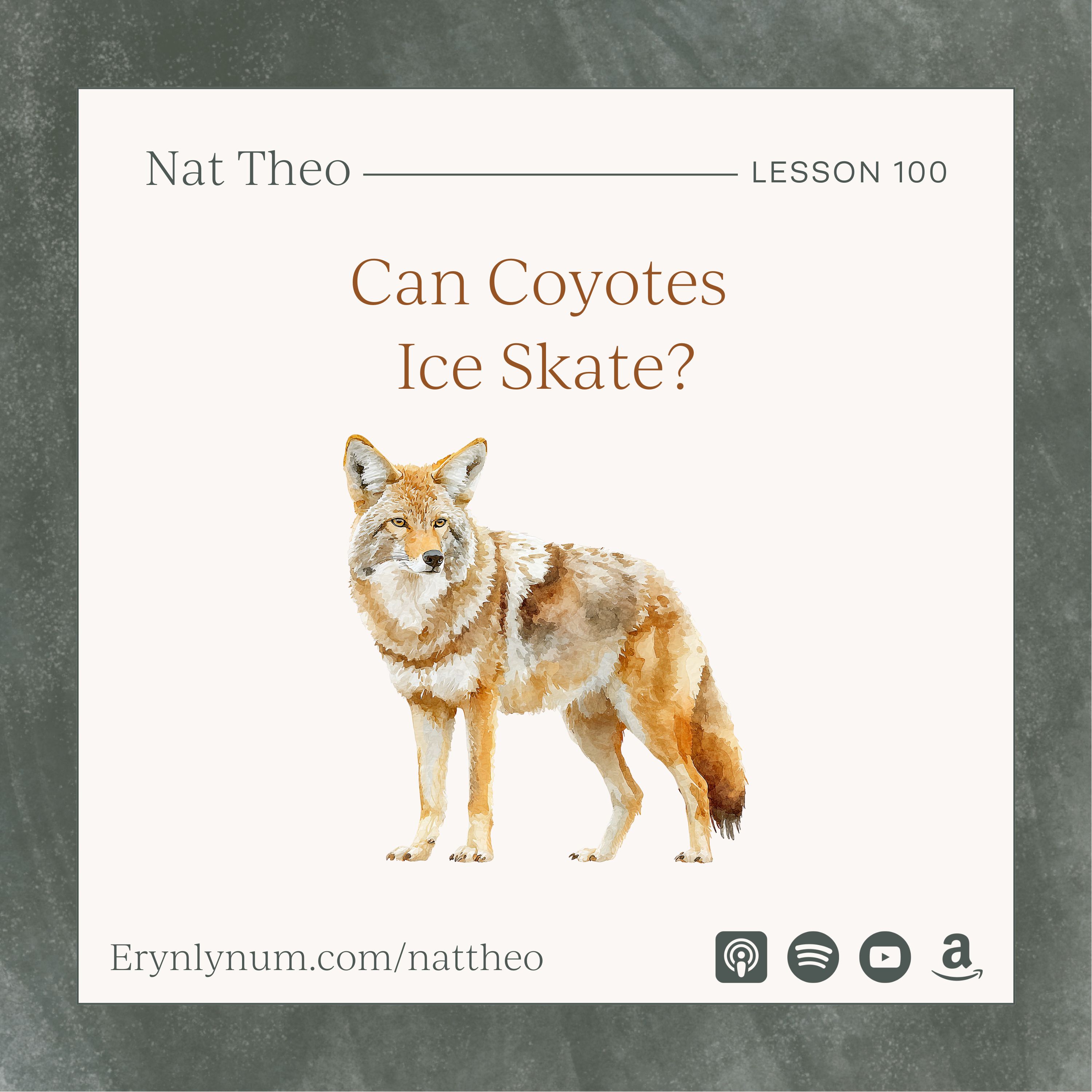 Can Coyotes Ice Skate? - Lesson 100