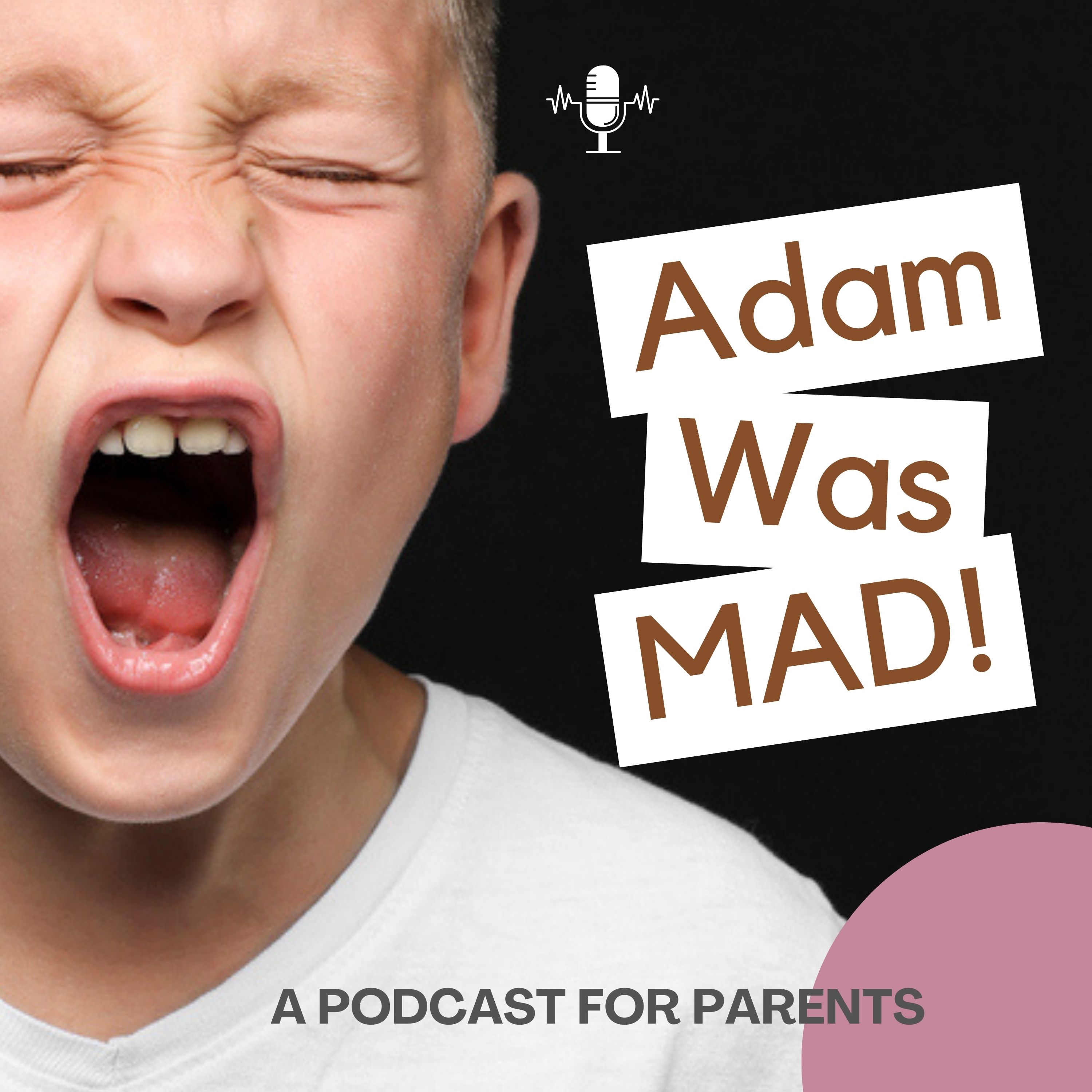 Artwork for Adam Was Mad
