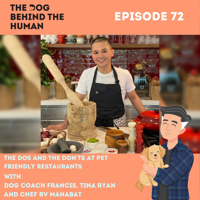 Artwork for podcast The Dog Behind The Human