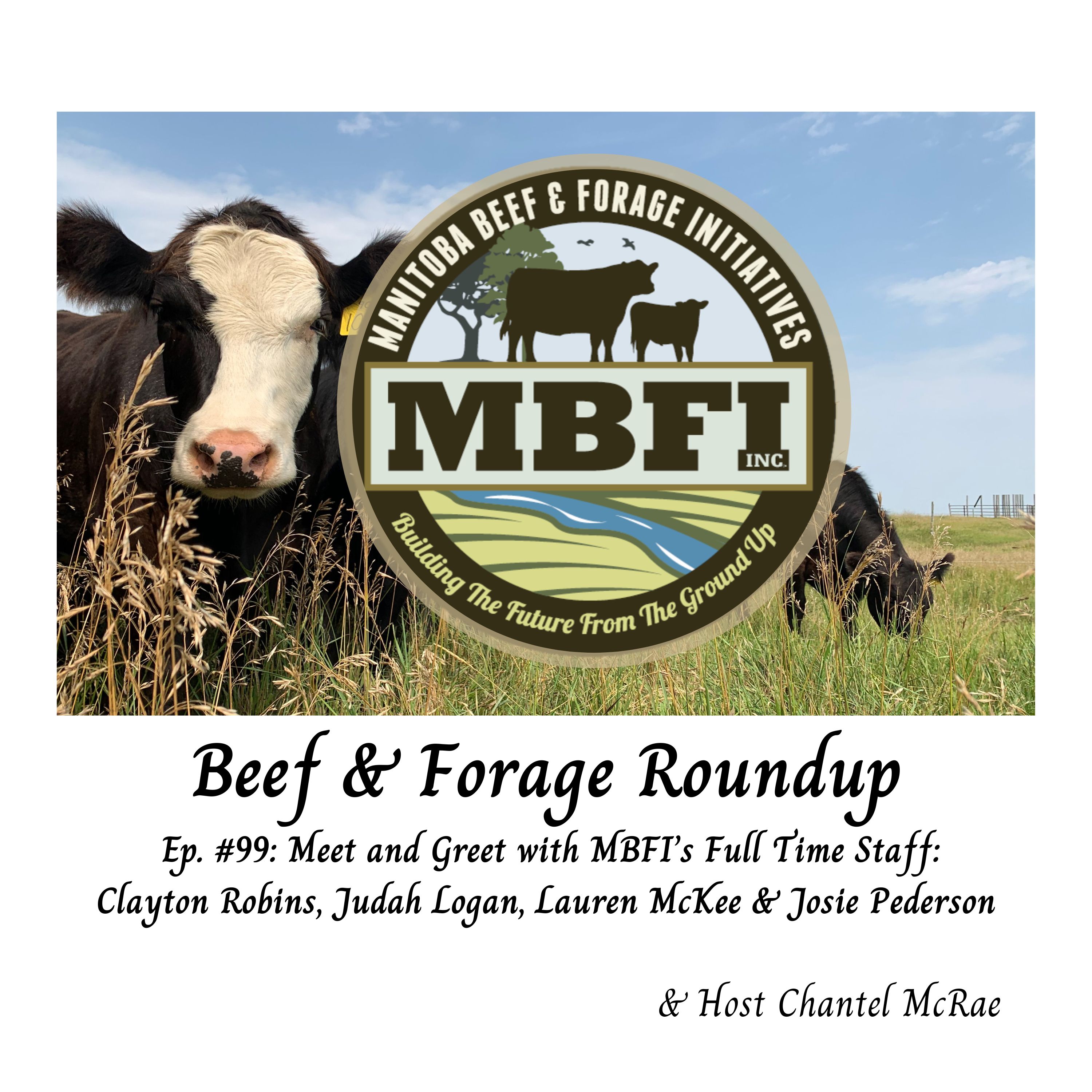 Beef and Forage Roundup