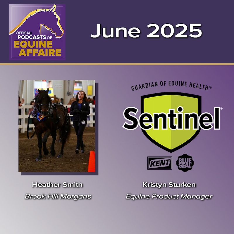 Artwork for podcast Horses in the Morning