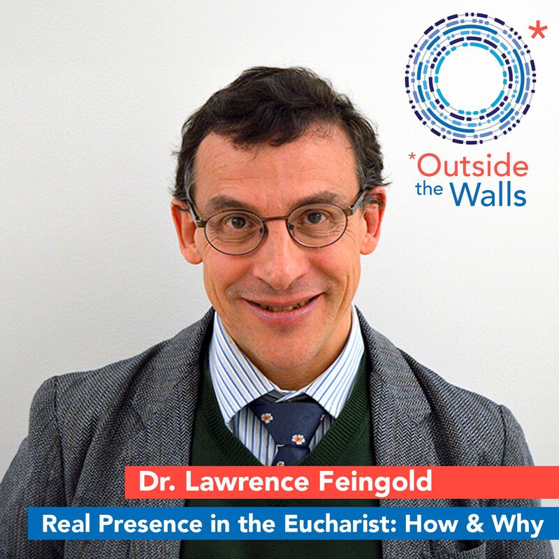 Artwork for podcast Outside the Walls