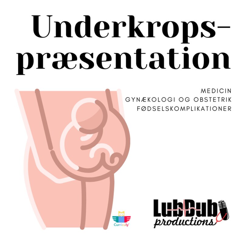 Artwork for podcast Lubdubs pensumpodcasts