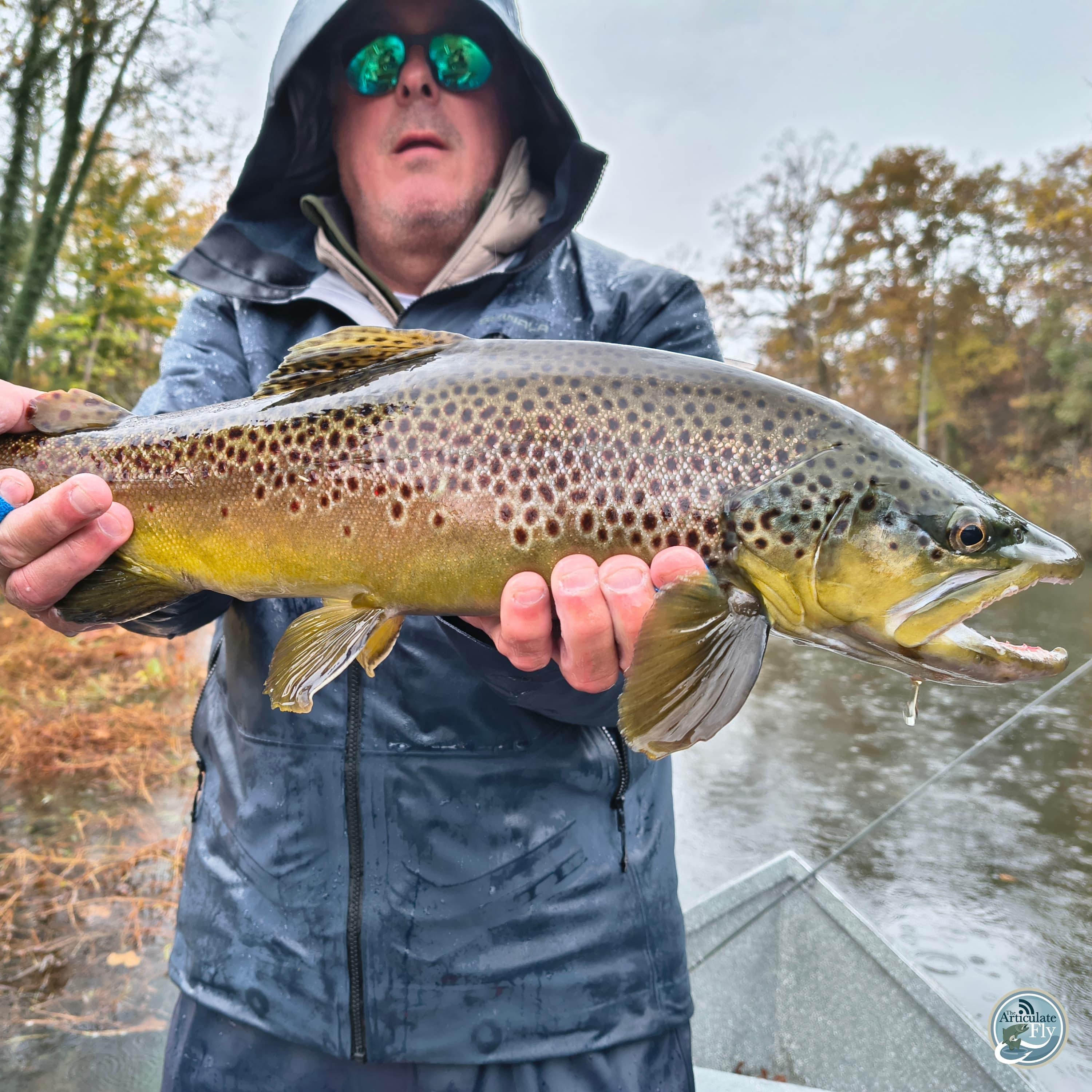 Navigating the Bite: Ellis Ward's Guide to Catching Big Browns