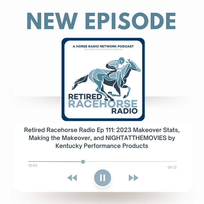 Artwork for podcast Retired Racehorse Radio