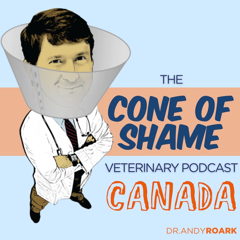 Artwork for podcast Cone of Shame Veterinary Podcast (Canada)