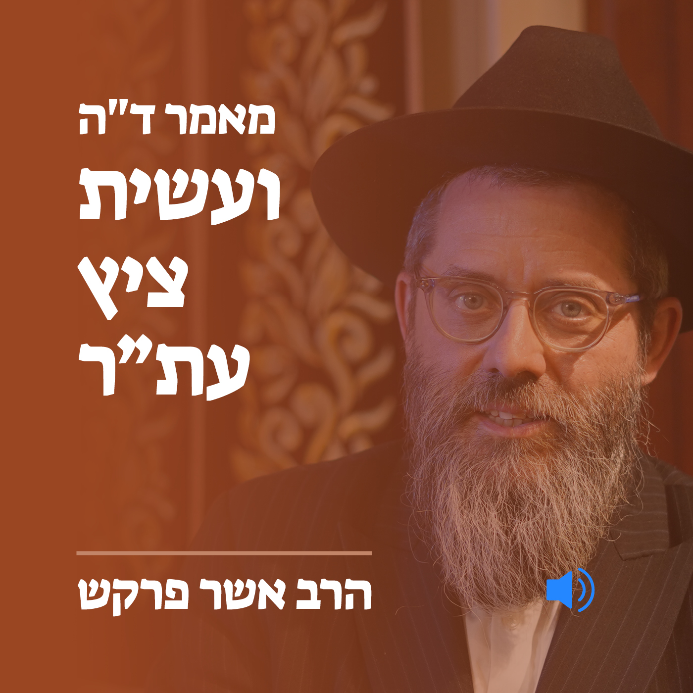 מאמר ד״ה ועשית ציץ עת״ר