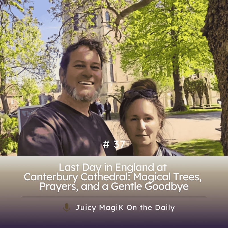 Artwork for podcast JuicyMagiK On the Daily
