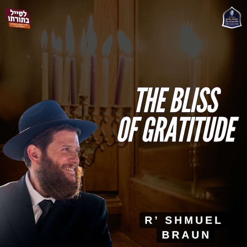 Artwork for podcast Kollel Toras Chaim All Shiurim