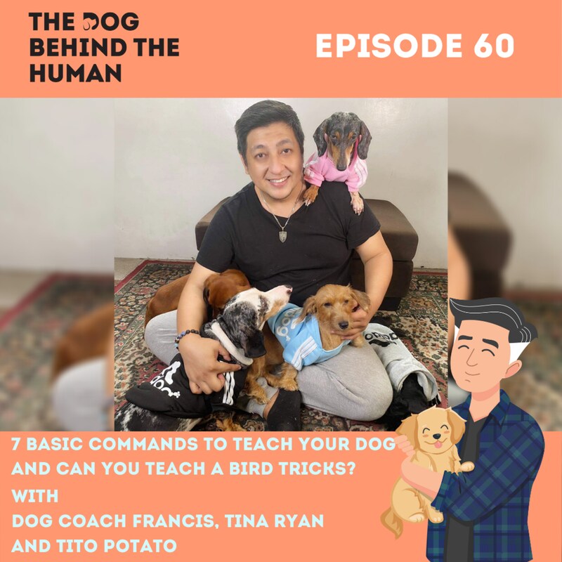 Artwork for podcast The Dog Behind The Human