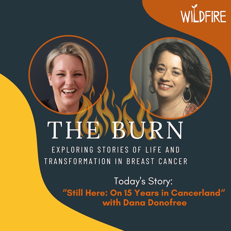 Artwork for podcast The Burn