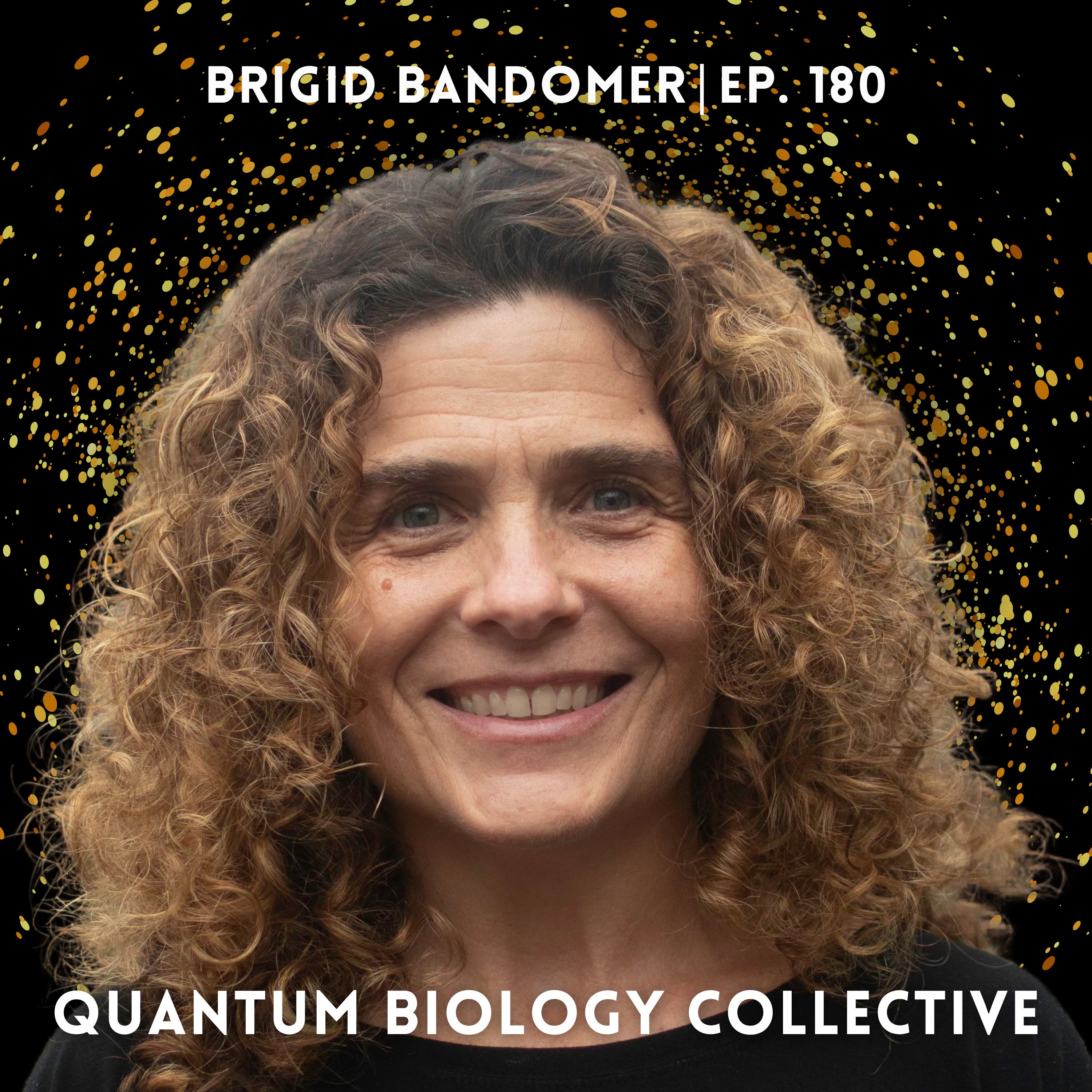 180: A Nurse's Journey into Quantum Biology: When the Science Finally Explains the Healing