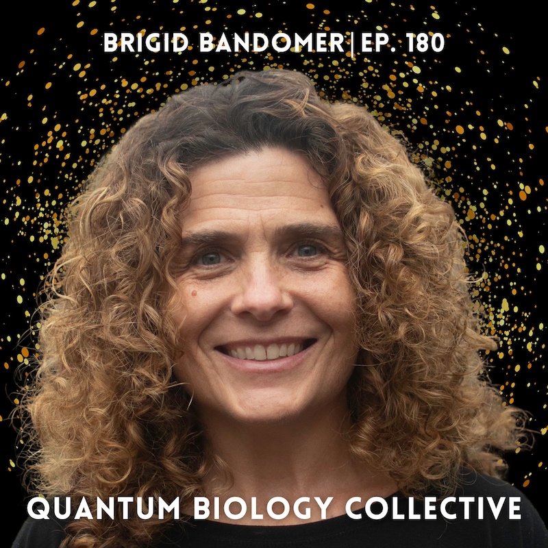 Artwork for podcast The Quantum Biology Collective Podcast