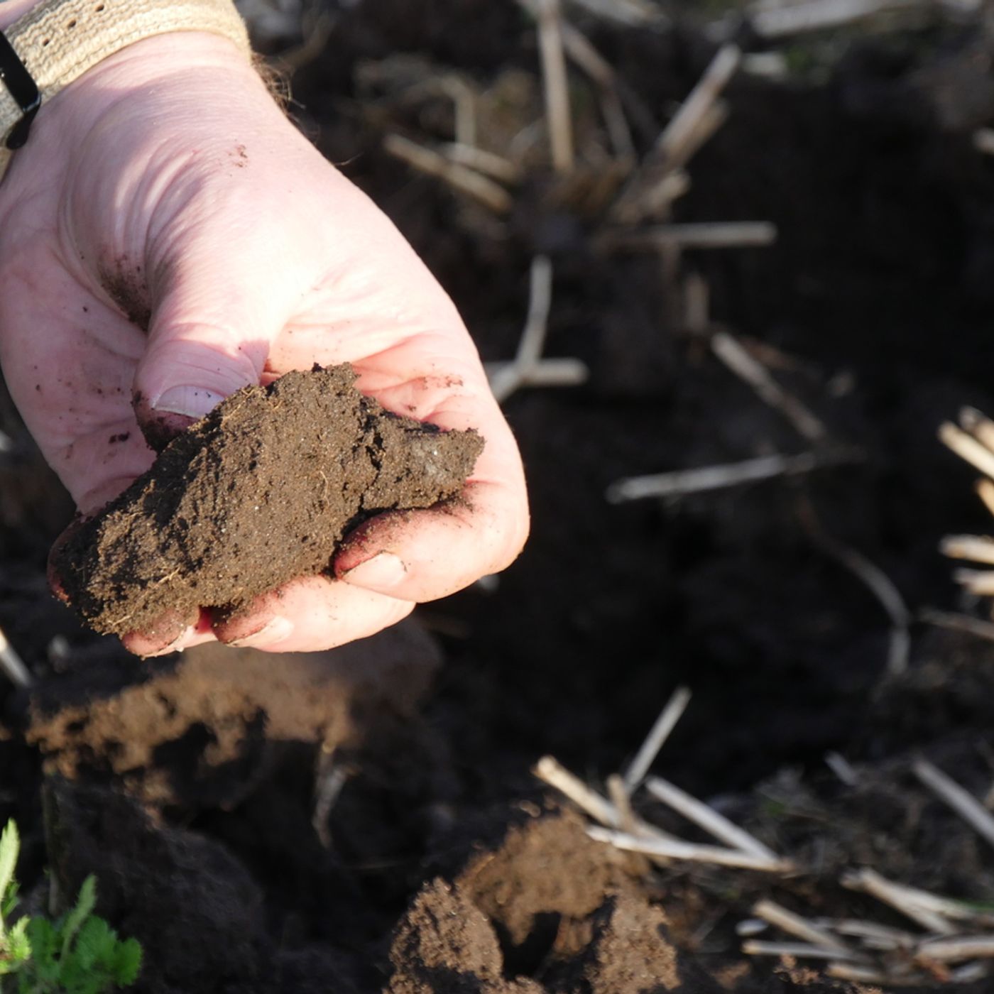 29: Soil health special