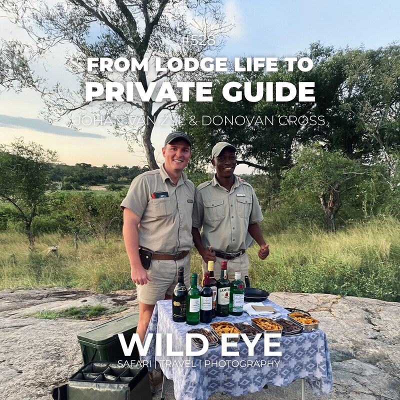 Artwork for podcast The Wild Eye Podcast