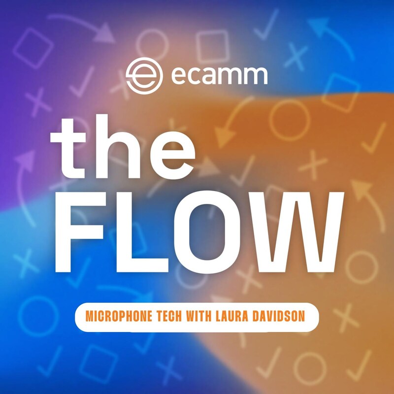 Artwork for podcast The Flow