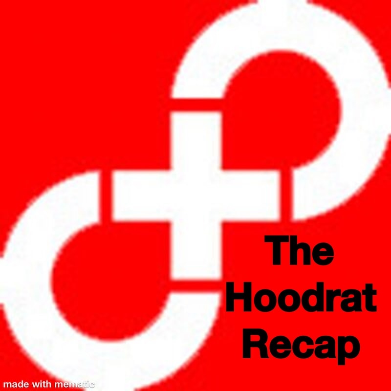 Artwork for podcast The Hoodrat Recap: a Podcast For The Hold Steady
