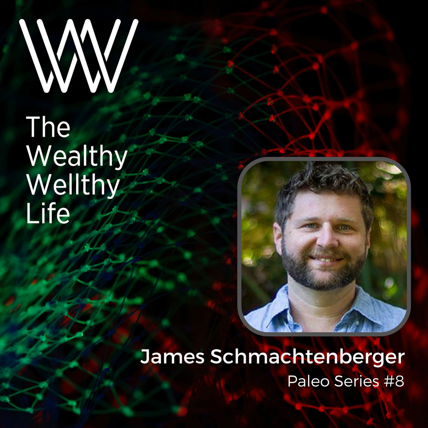 Wealthy Wellthy Podcast