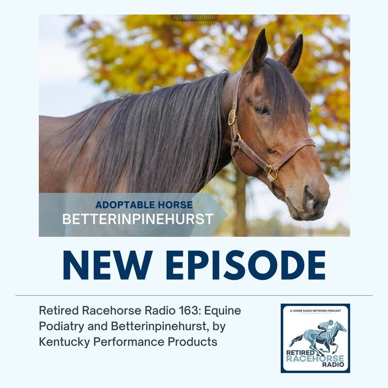 Artwork for podcast Retired Racehorse Radio