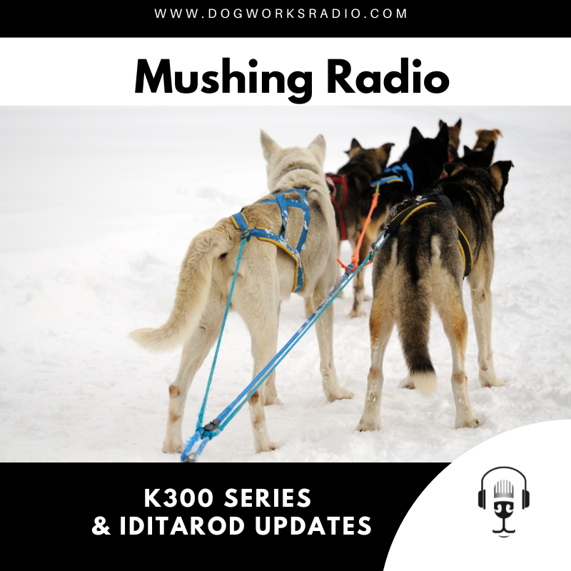 K300 Series and Iditarod Updates