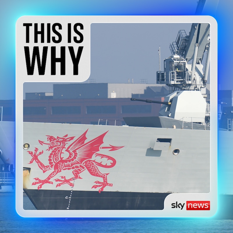 Artwork for podcast This Is Why
