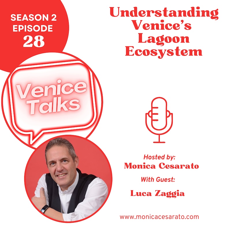 Artwork for podcast Venice Talks