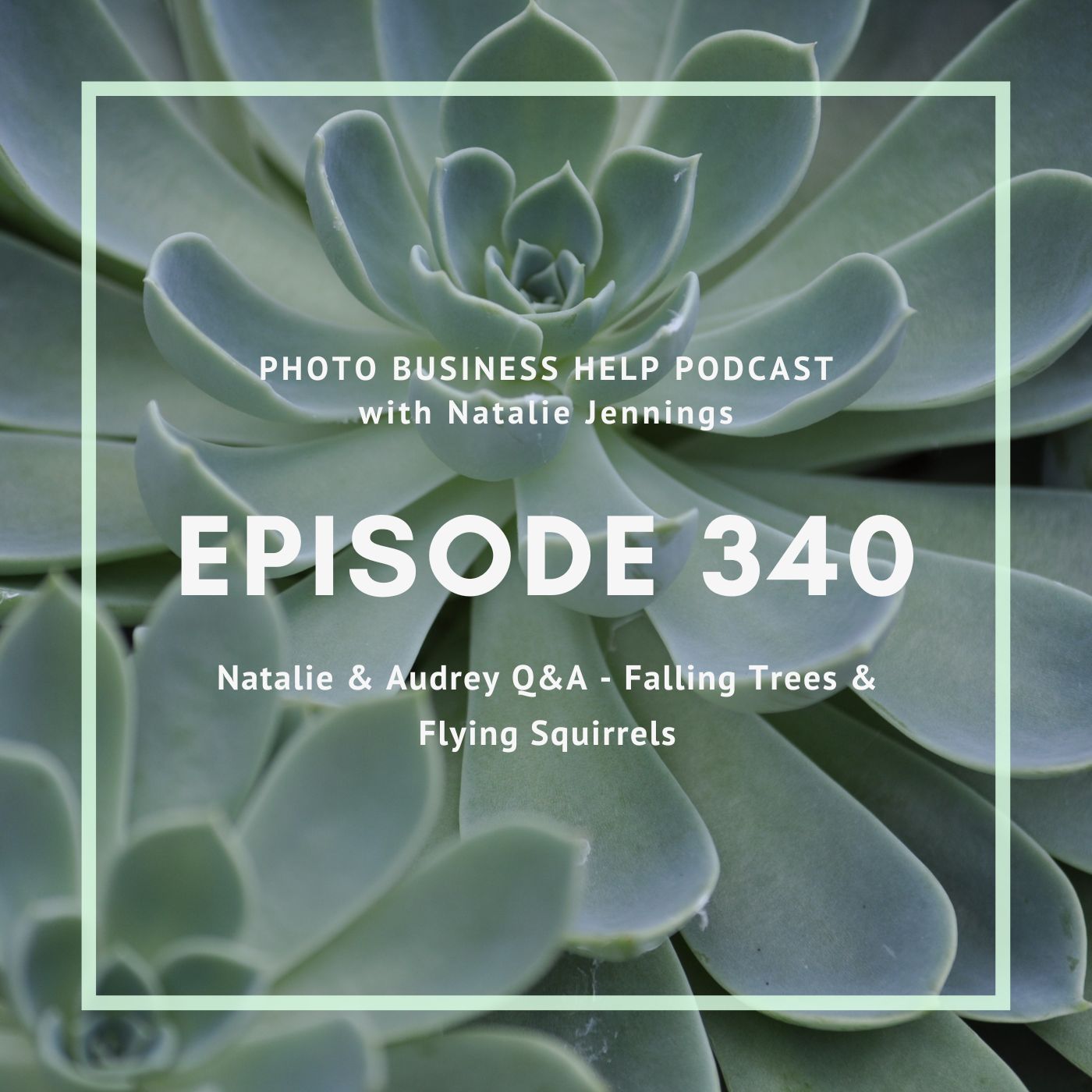 340 Natalie & Audrey Q&A - Falling Trees & Flying Squirrels