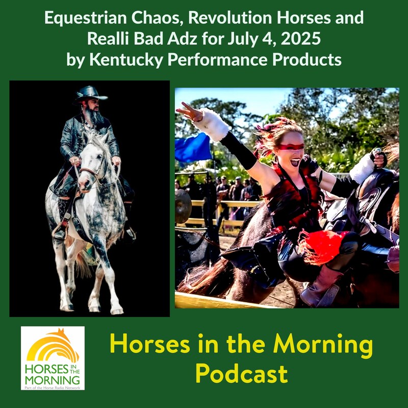 Artwork for podcast HORSES IN THE MORNING