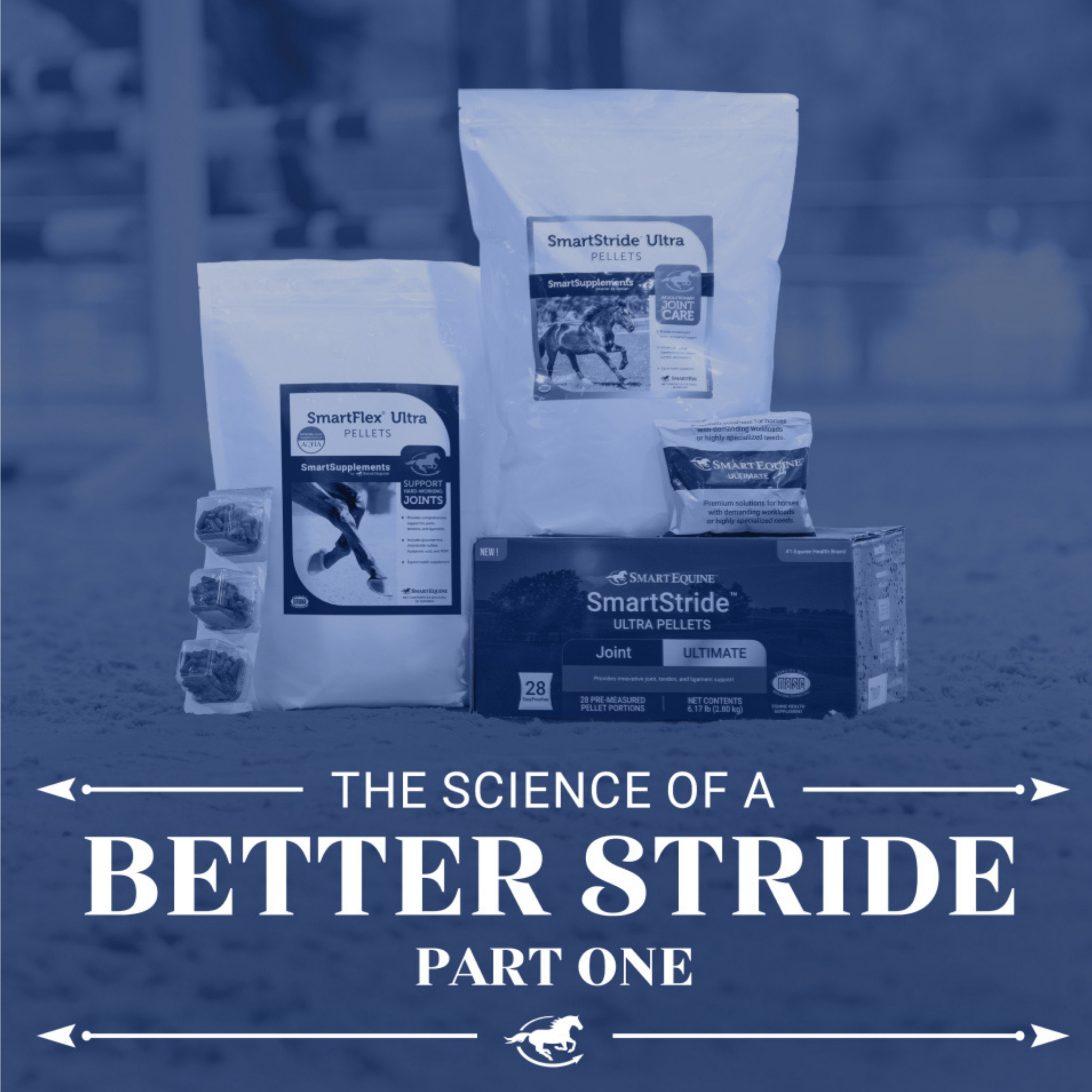 The Science of a Better Stride (Part 1) - The Horse HealthCast with SmartEquine